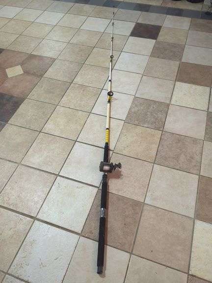 Sea Striker SS1000 Fishing Rod with Super Star Reel image