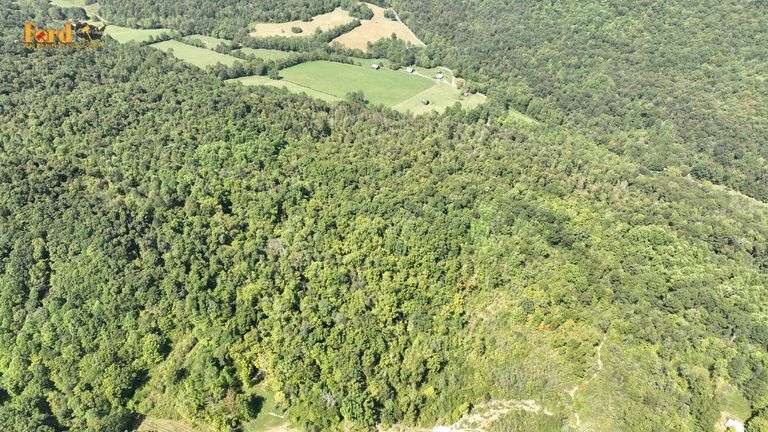 (Updated Survey)  29.96 +/- Acres in Monticello, Ky image