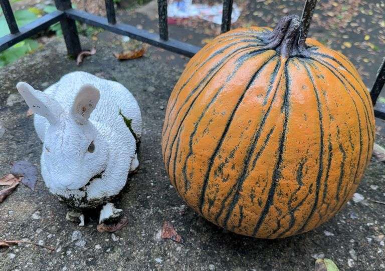Pumpkin and Rabbit Decor image