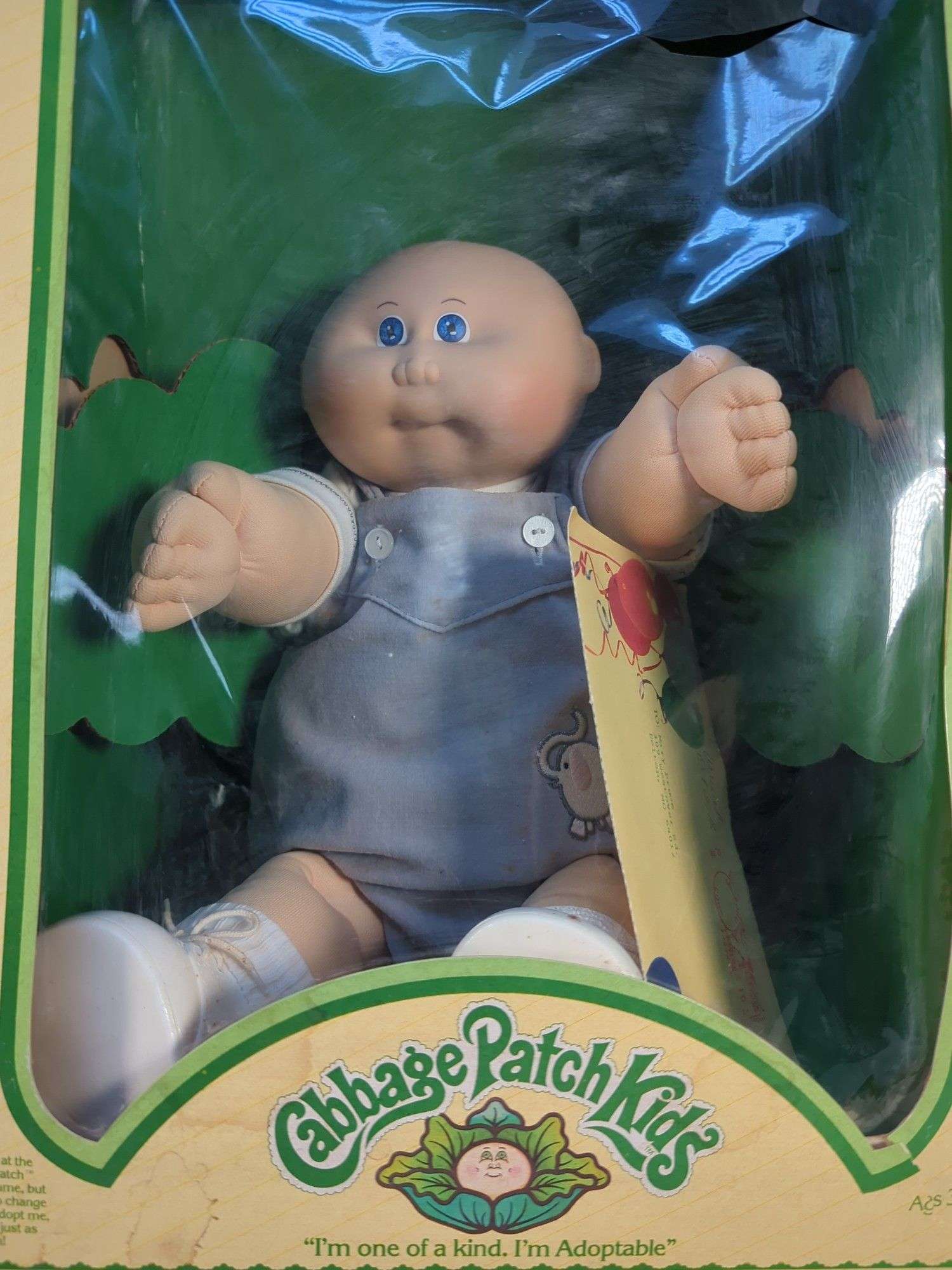 ウテ・ベーレント / THE LAST YEAR OF CHILDHOOD APD locates parents of nonverbal child found wandering