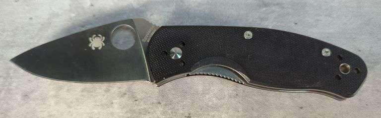 Spyderco Resilience Folding Knife 8CR13MOV, 2.5" Blade image