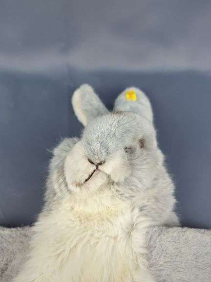 Steiff Bunny Rabbit Hand Puppet 3480/40, Made In Austria - Mayo Auction ...