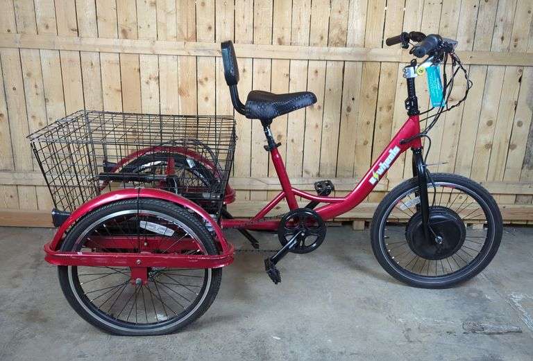 EWheels EW-29 Electric Trike image