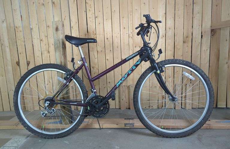 Stonehill Motive 18-Speed Mountain Bike image