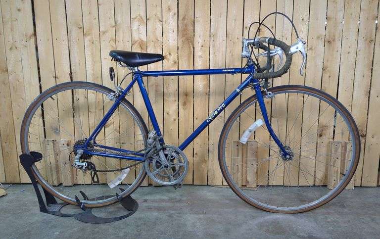 Regent Cycle Pro Bicycle image