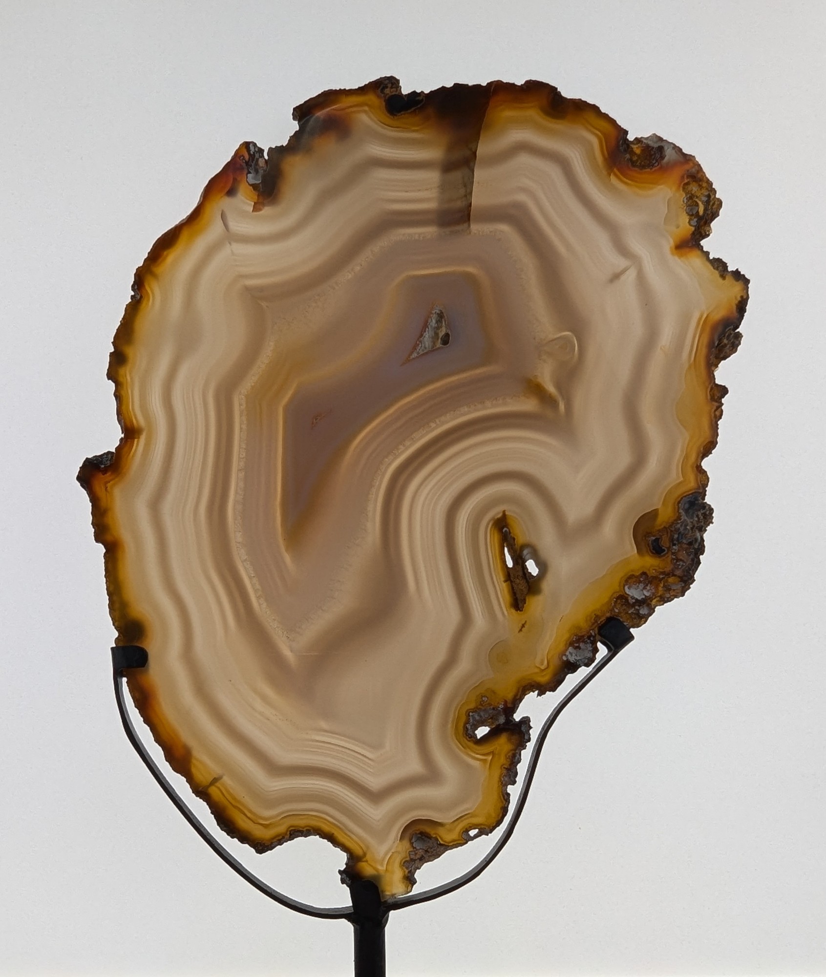 Lot image 1