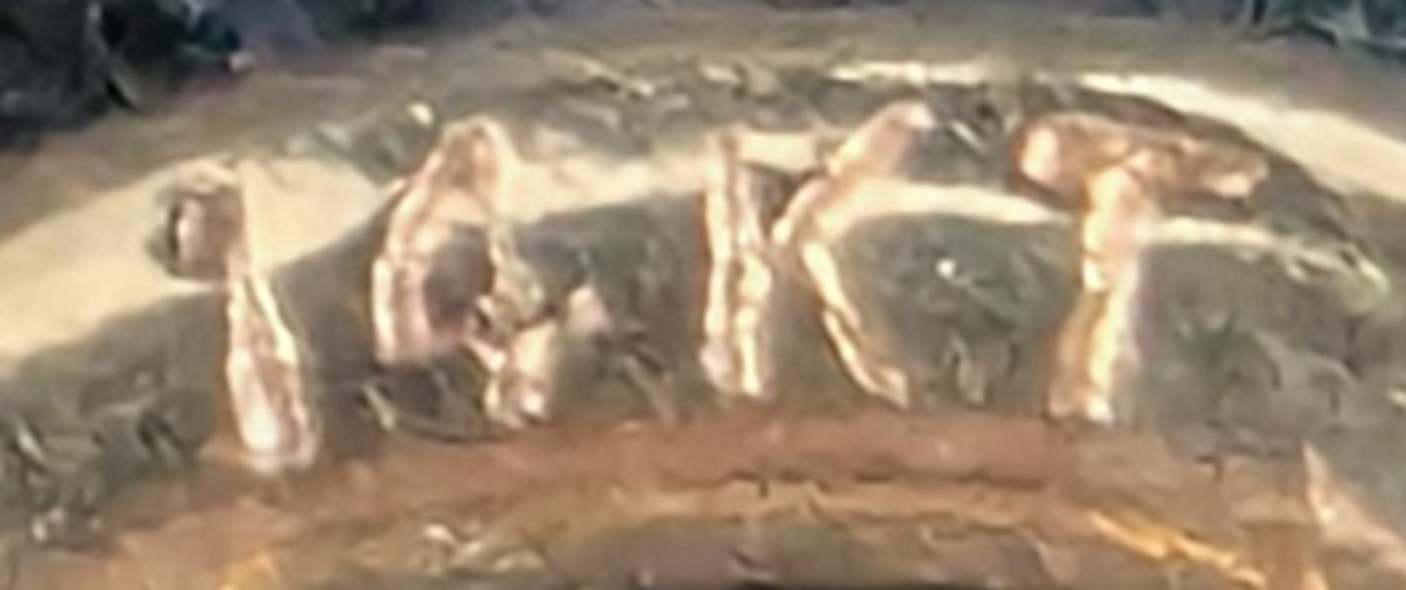 Lot image 4