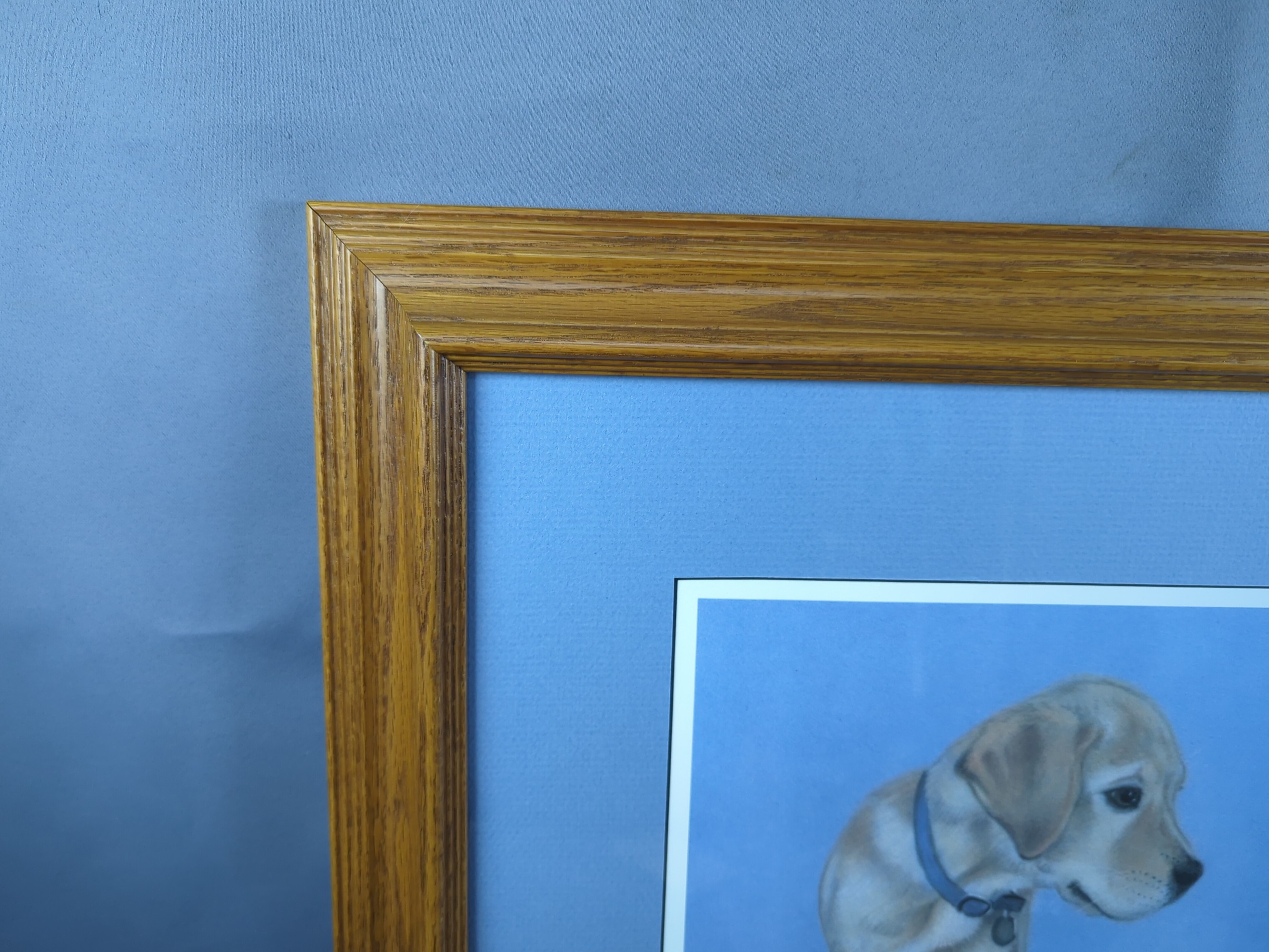 Lot image 3