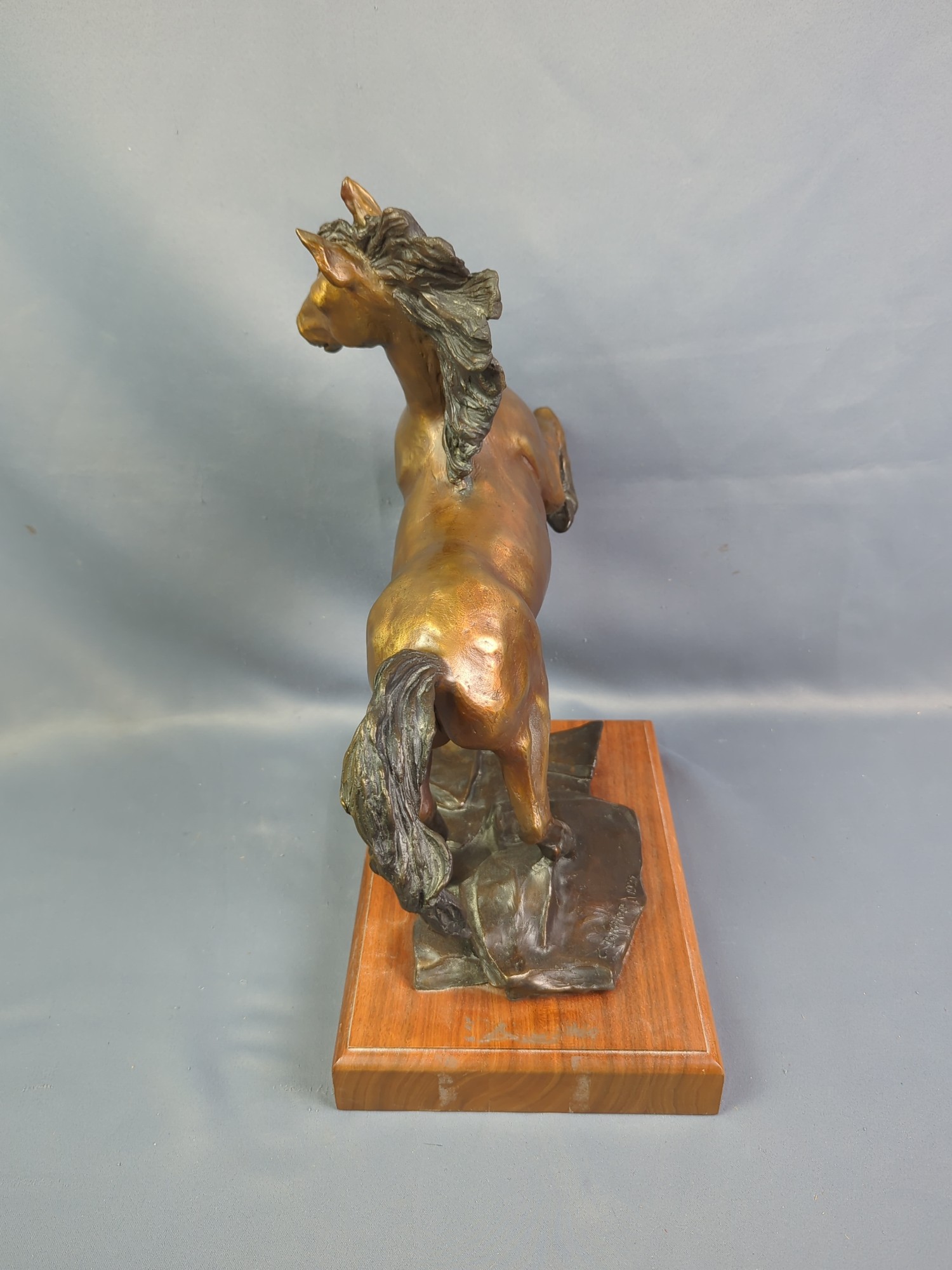 Lot image 6