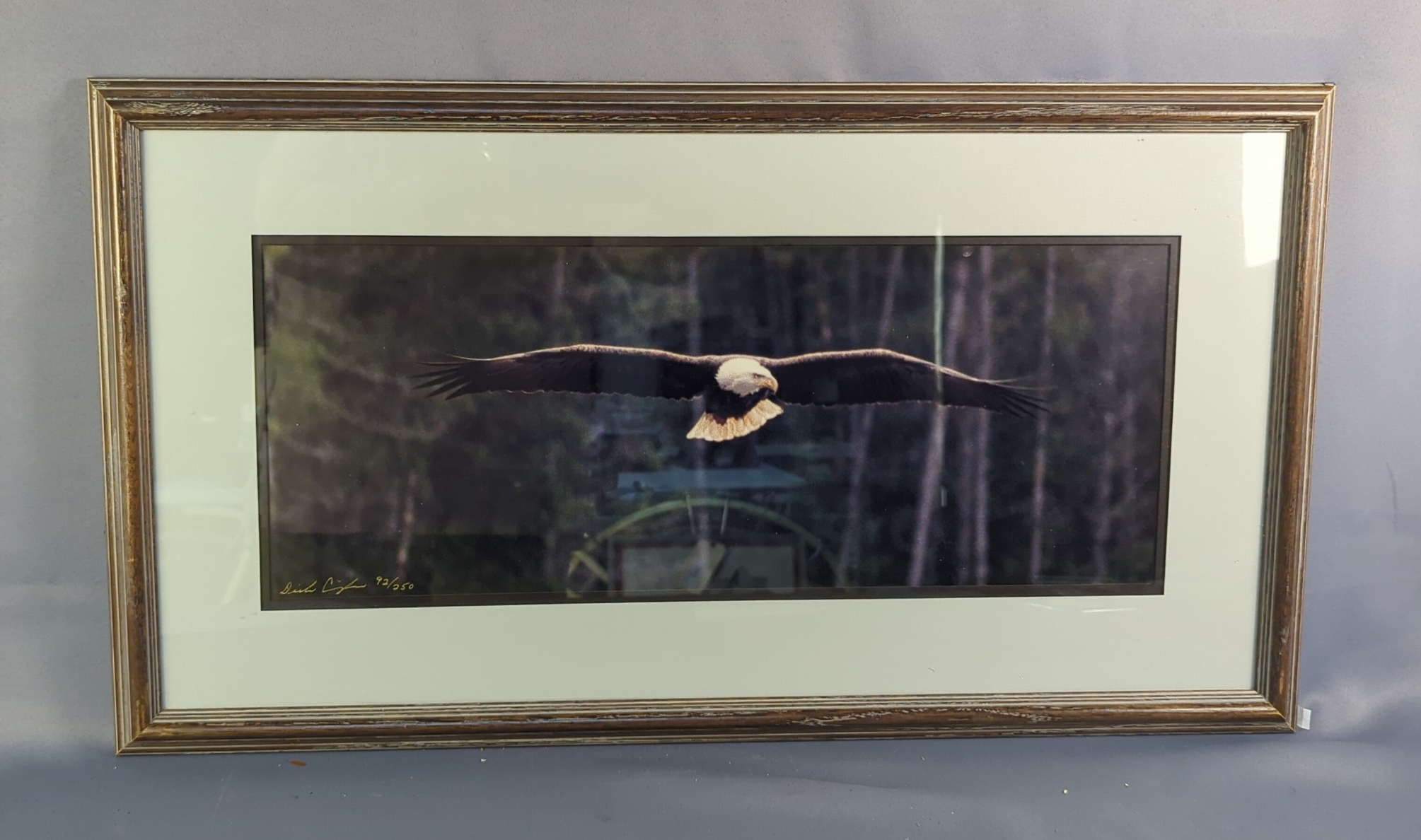 Lot image 1