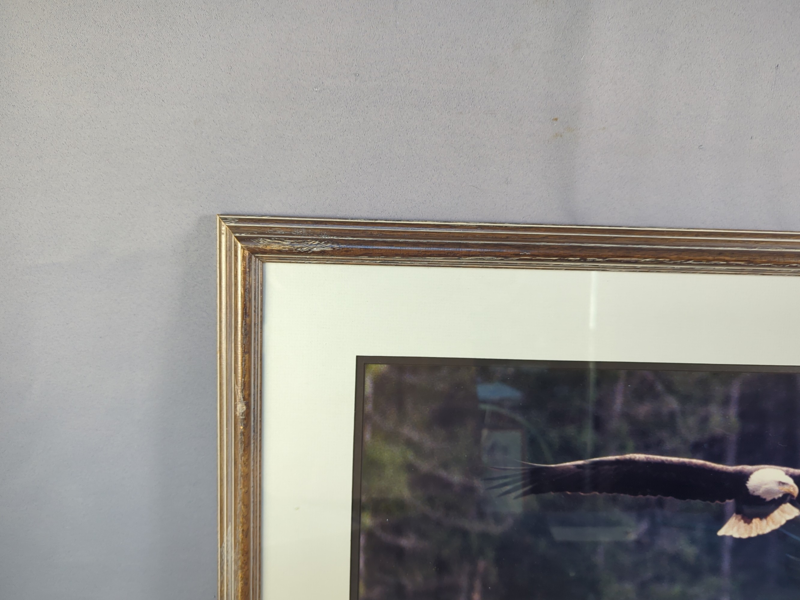 Lot image 3