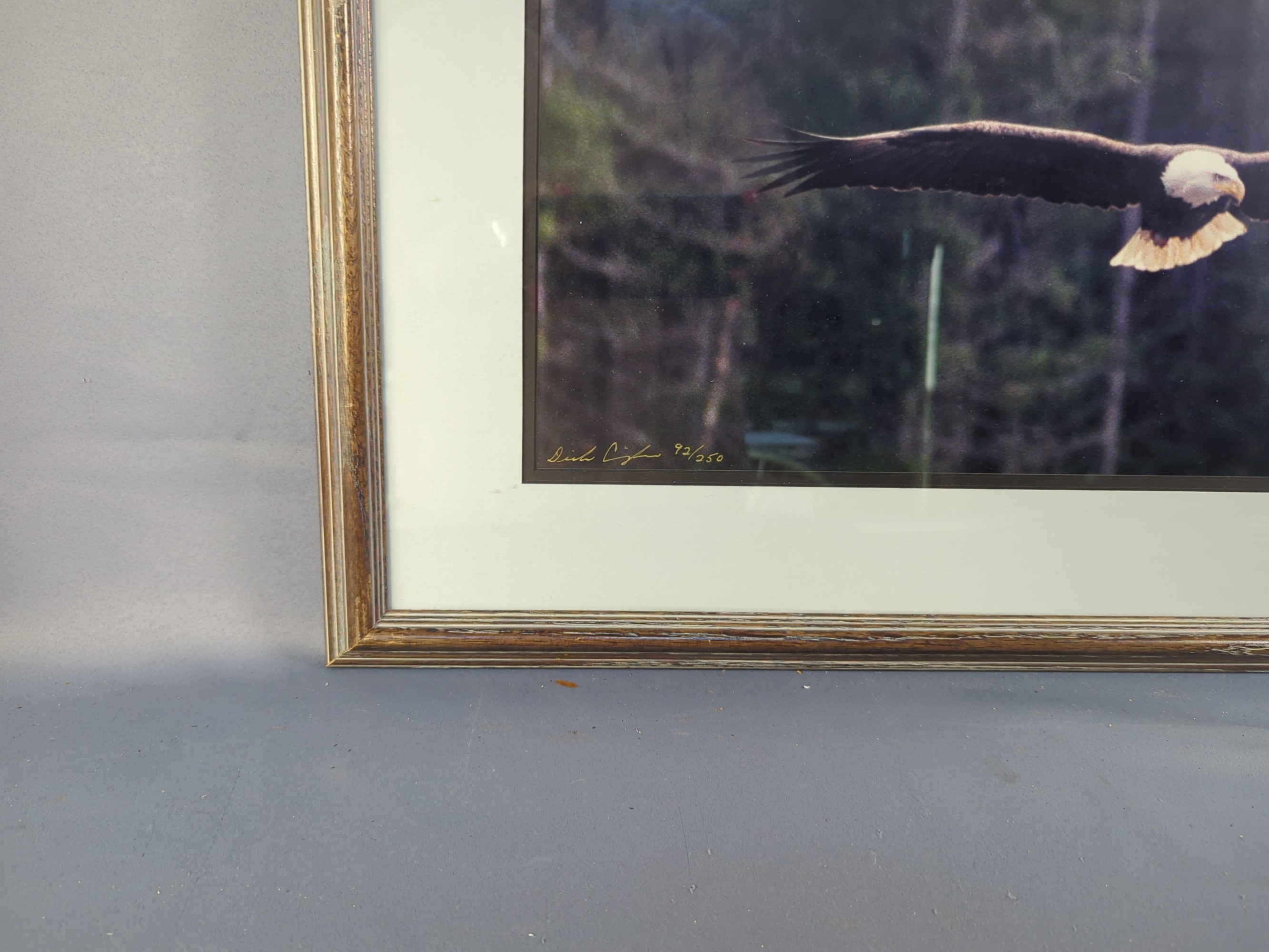 Lot image 4