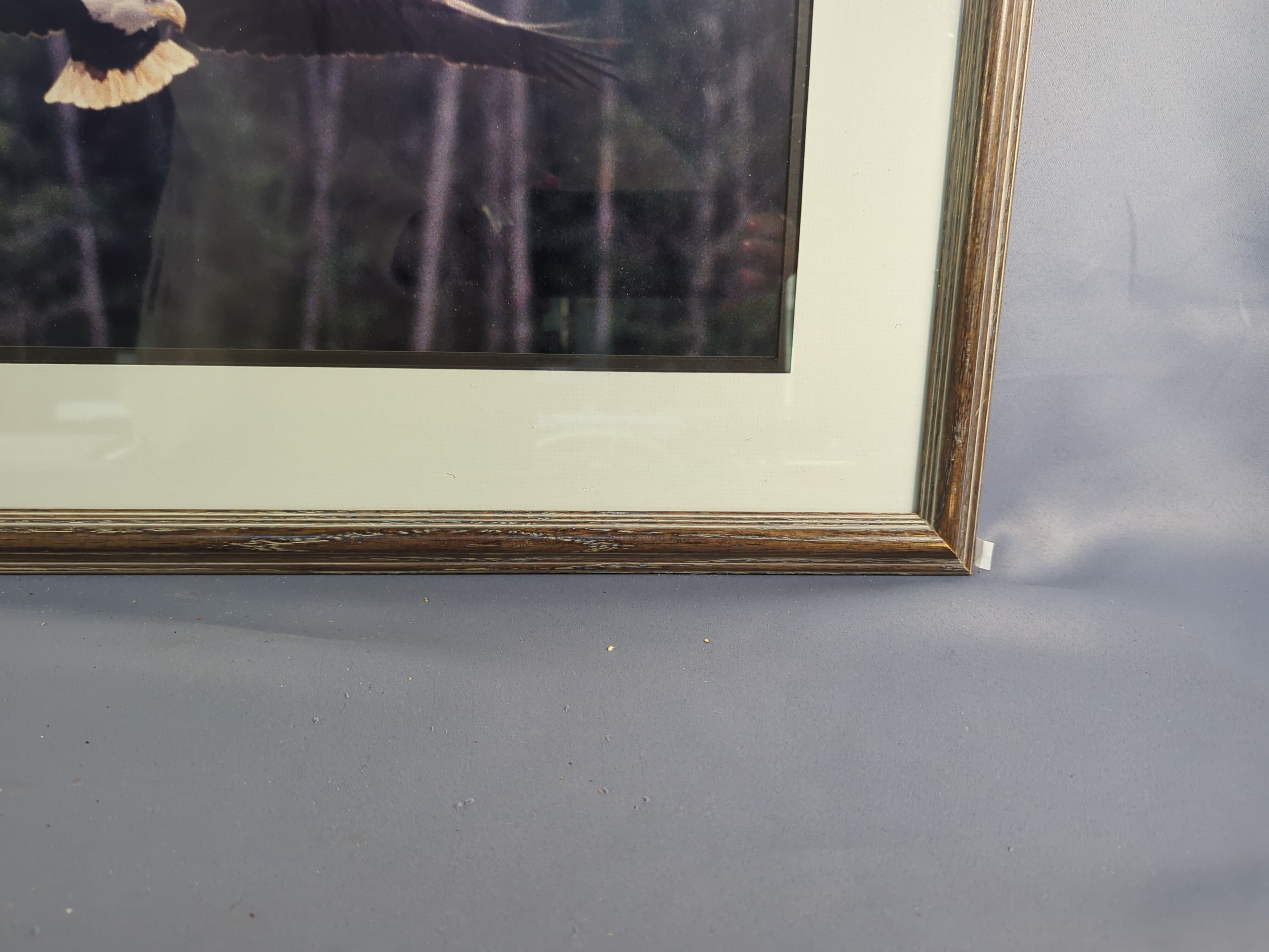 Lot image 5