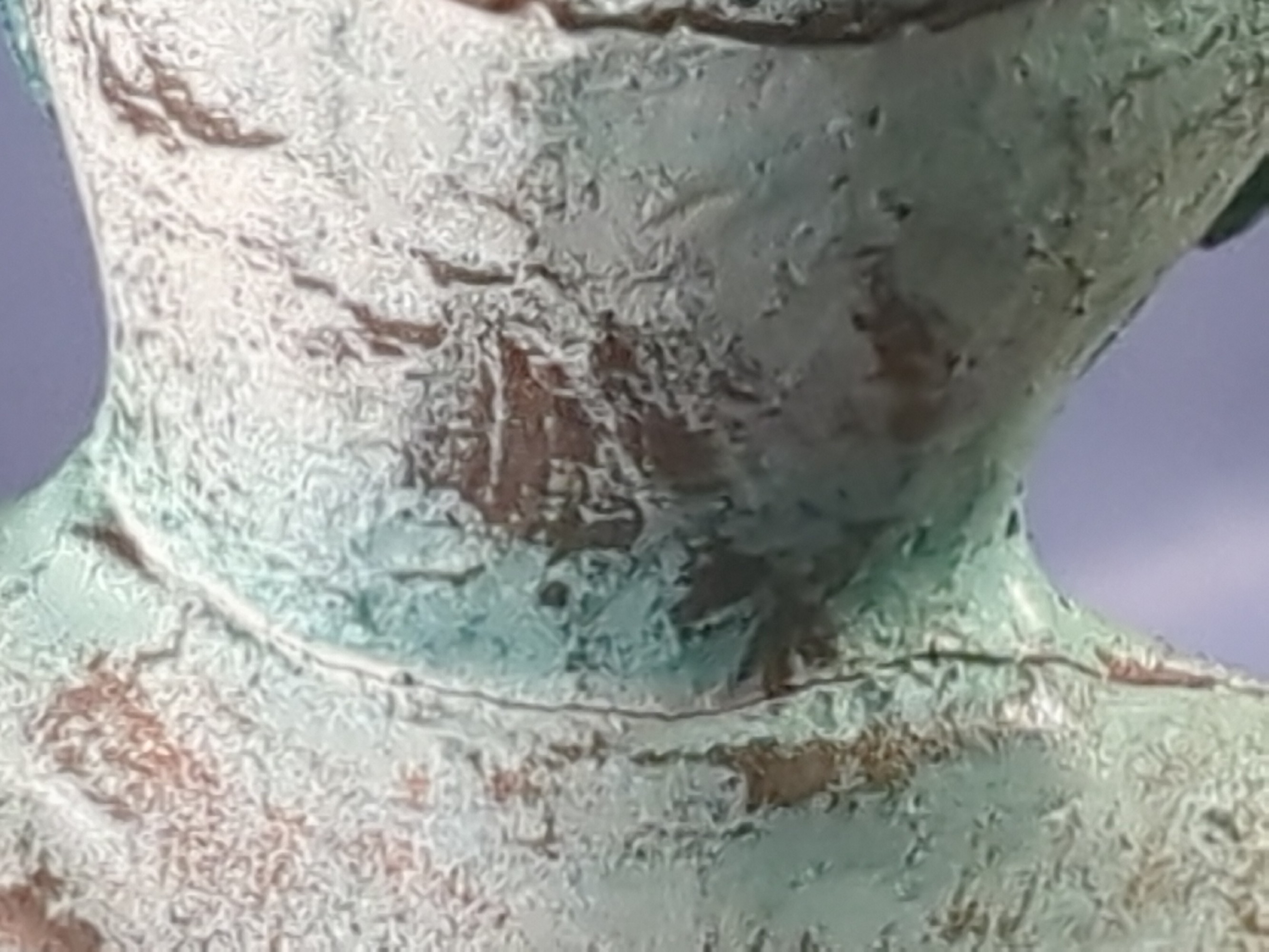 Lot image 10
