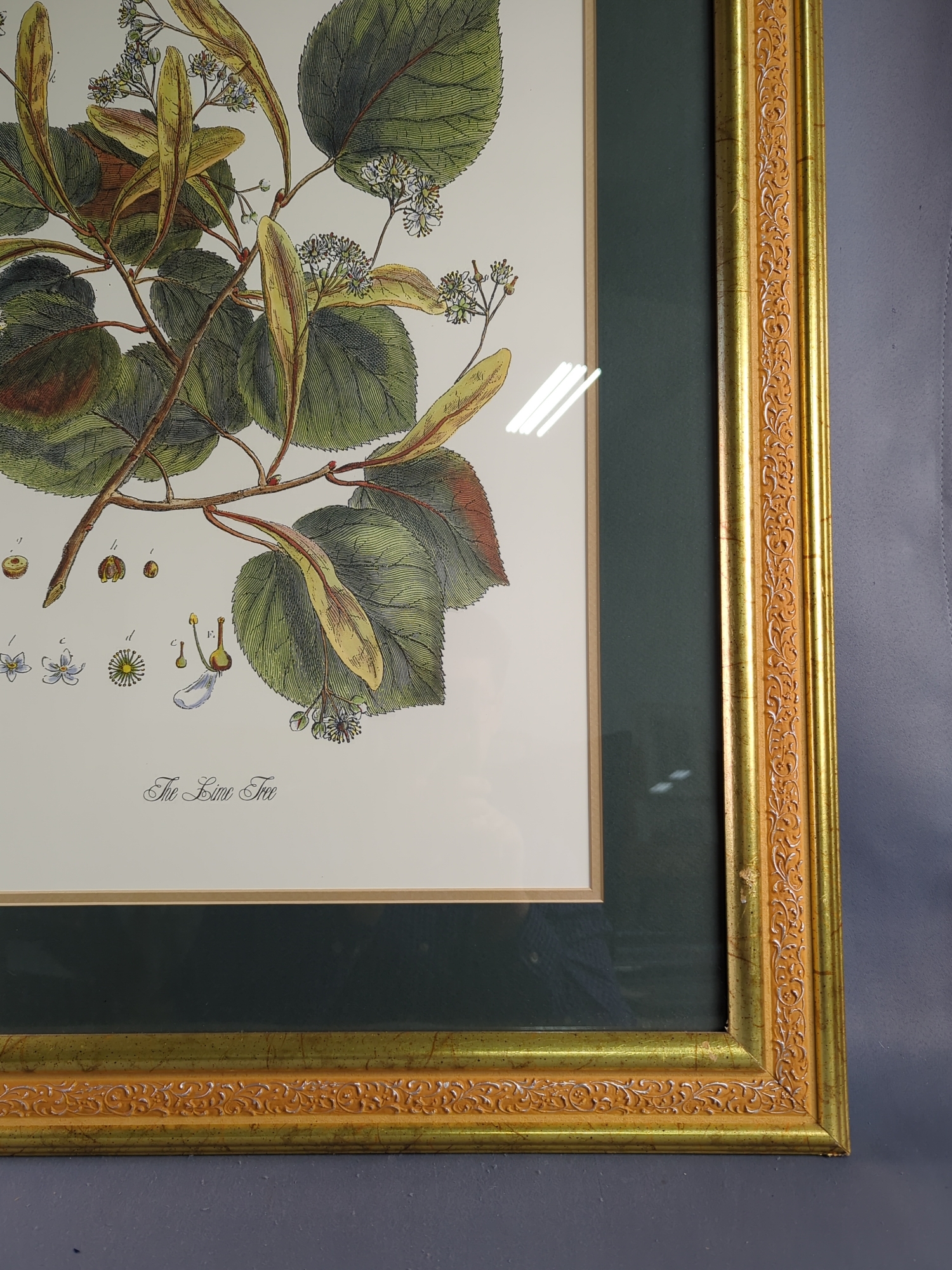 Lot image 6