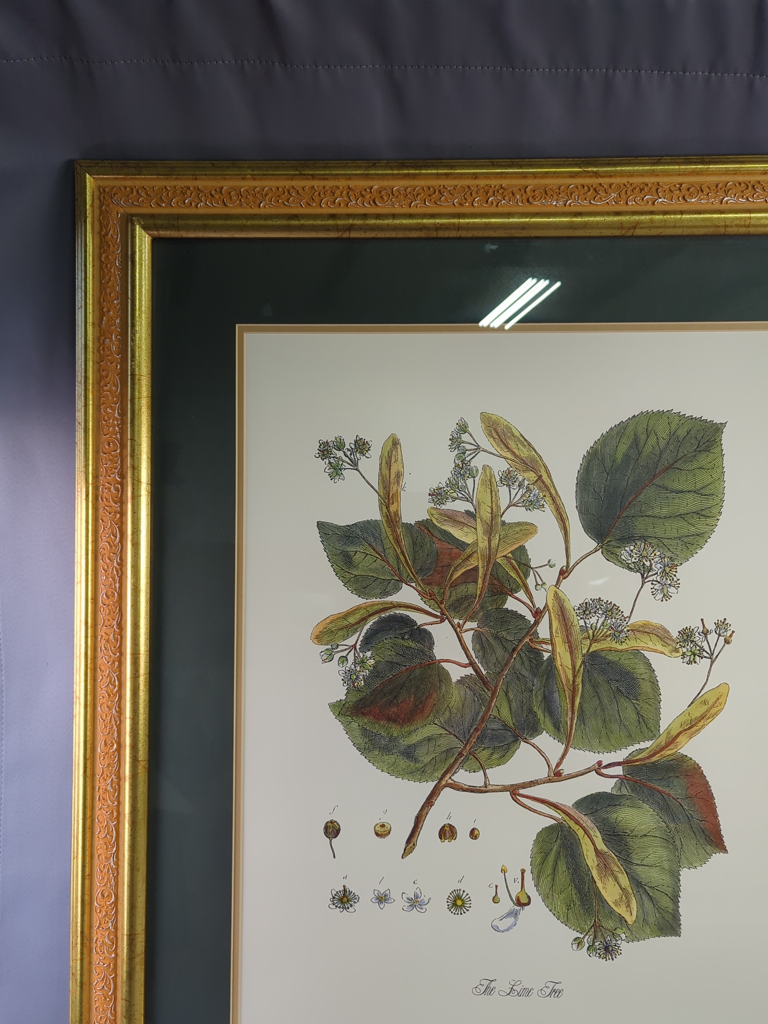Lot image 3