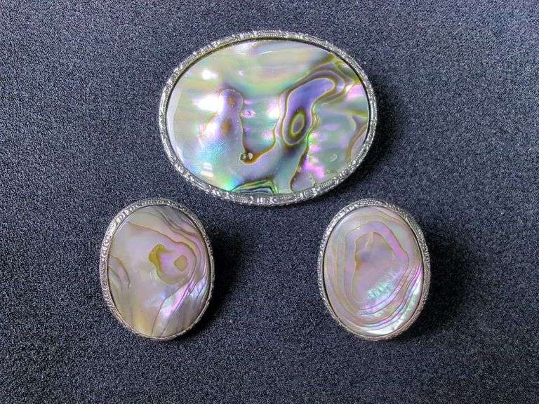 Abalone Shell Brooch and Earring Set