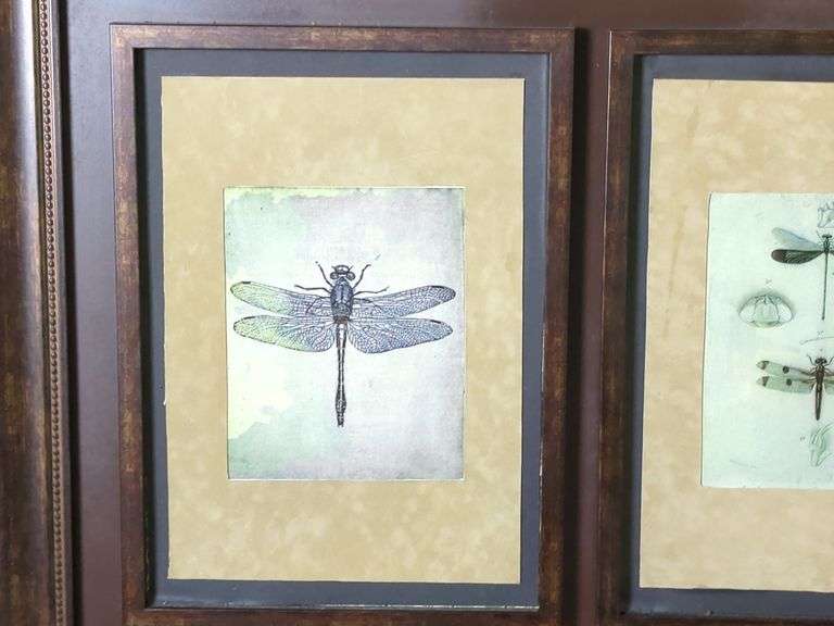 Dragonfly Botanical Triptych Framed Print, 32" x 58" x 1.25"