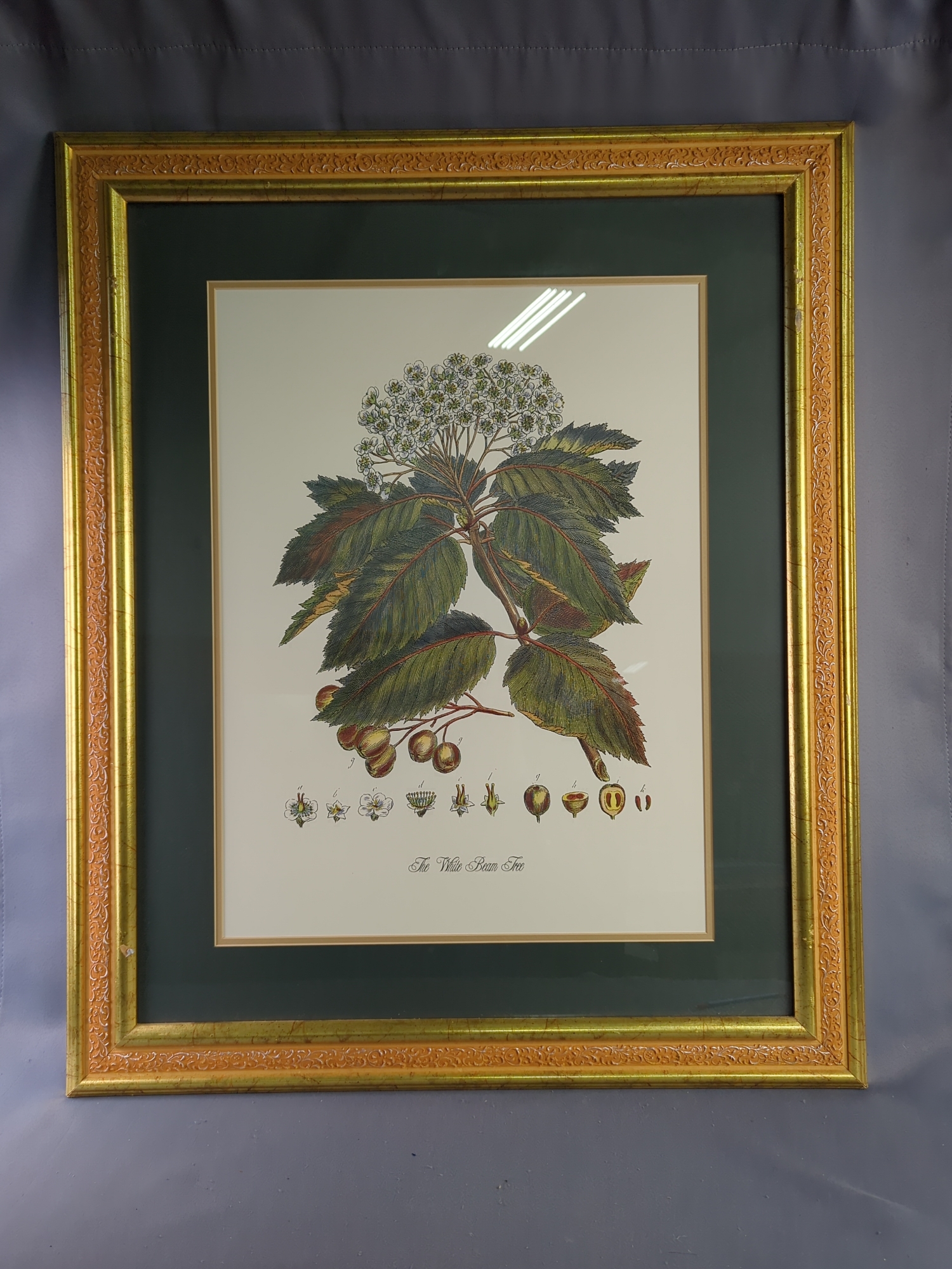 Lot image 8