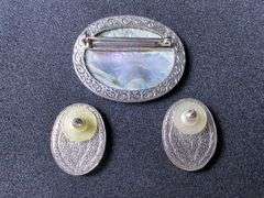 Abalone Shell Brooch and Earring Set