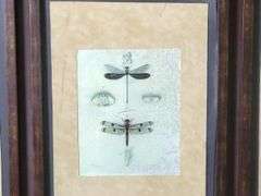 Dragonfly Botanical Triptych Framed Print, 32" x 58" x 1.25"
