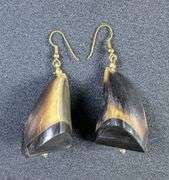 Unique Horn Bead Necklace and Earring Set