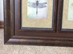 Dragonfly Botanical Triptych Framed Print, 32" x 58" x 1.25"