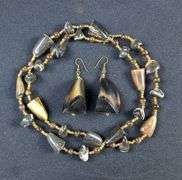 Unique Horn Bead Necklace and Earring Set