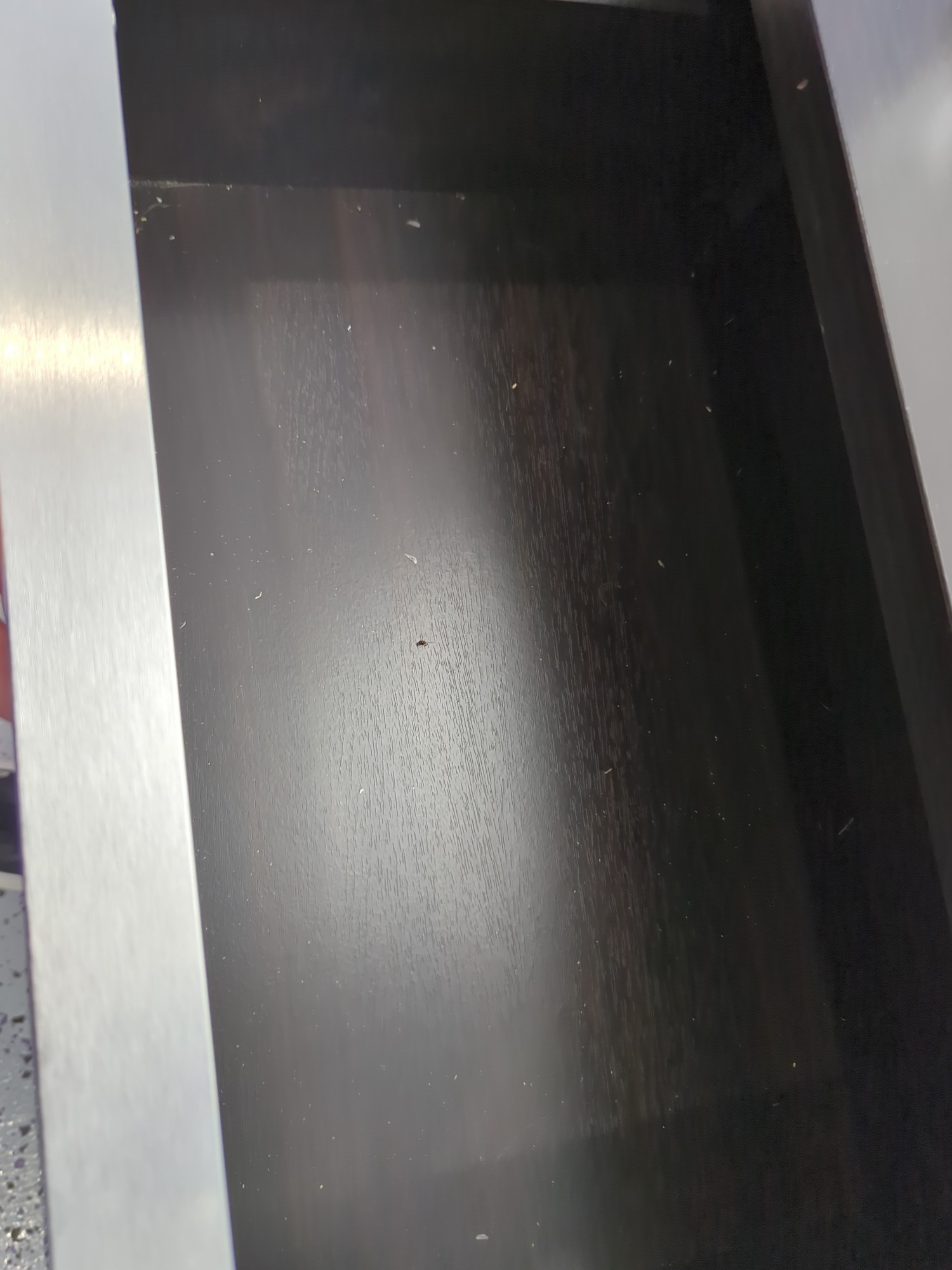 Lot image 7