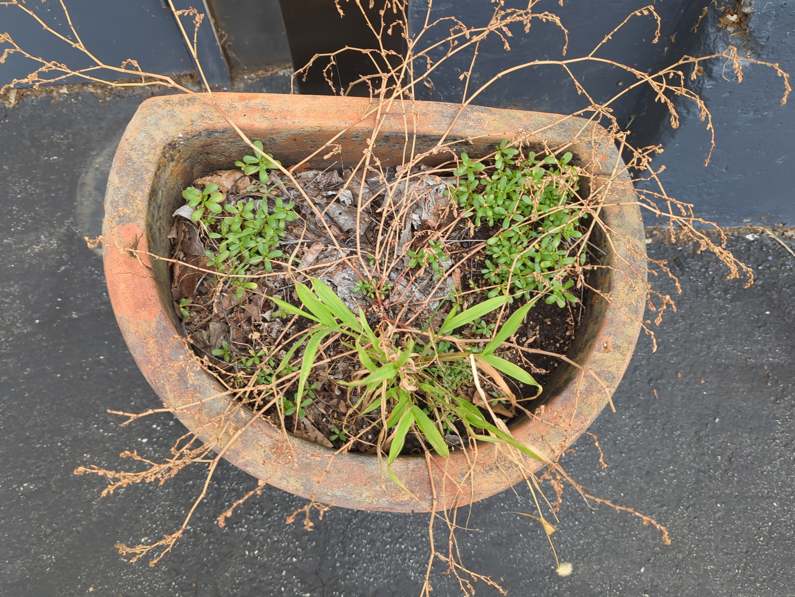 Lot image 6