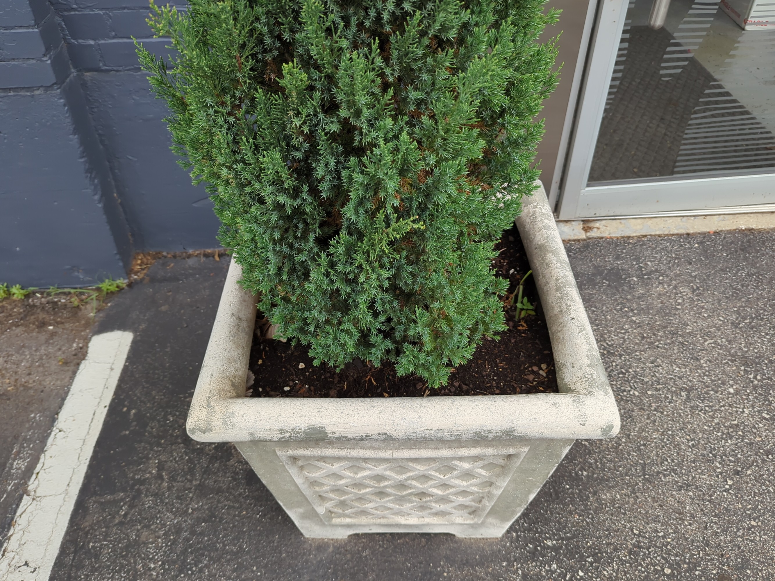 Lot image 4