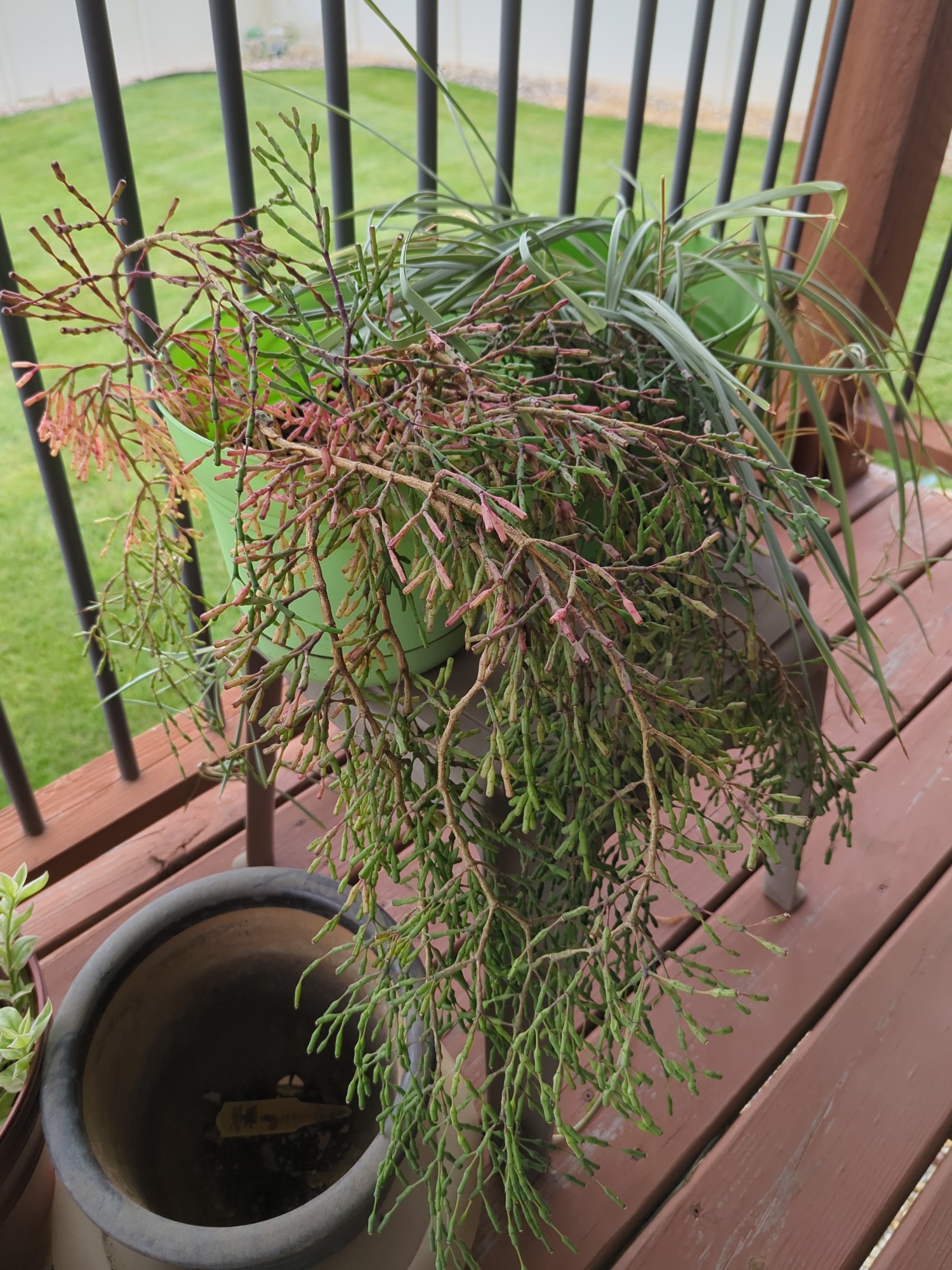 Lot image 4