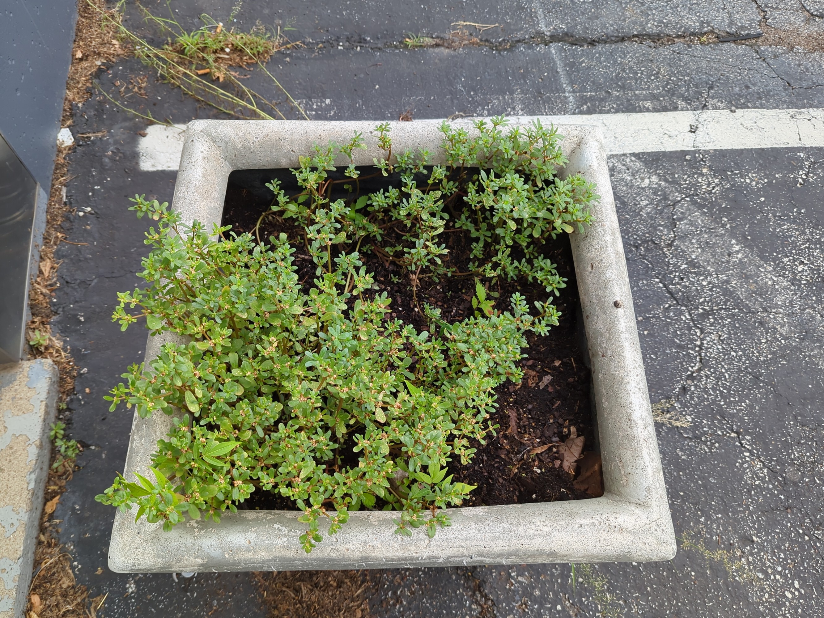 Lot image 6