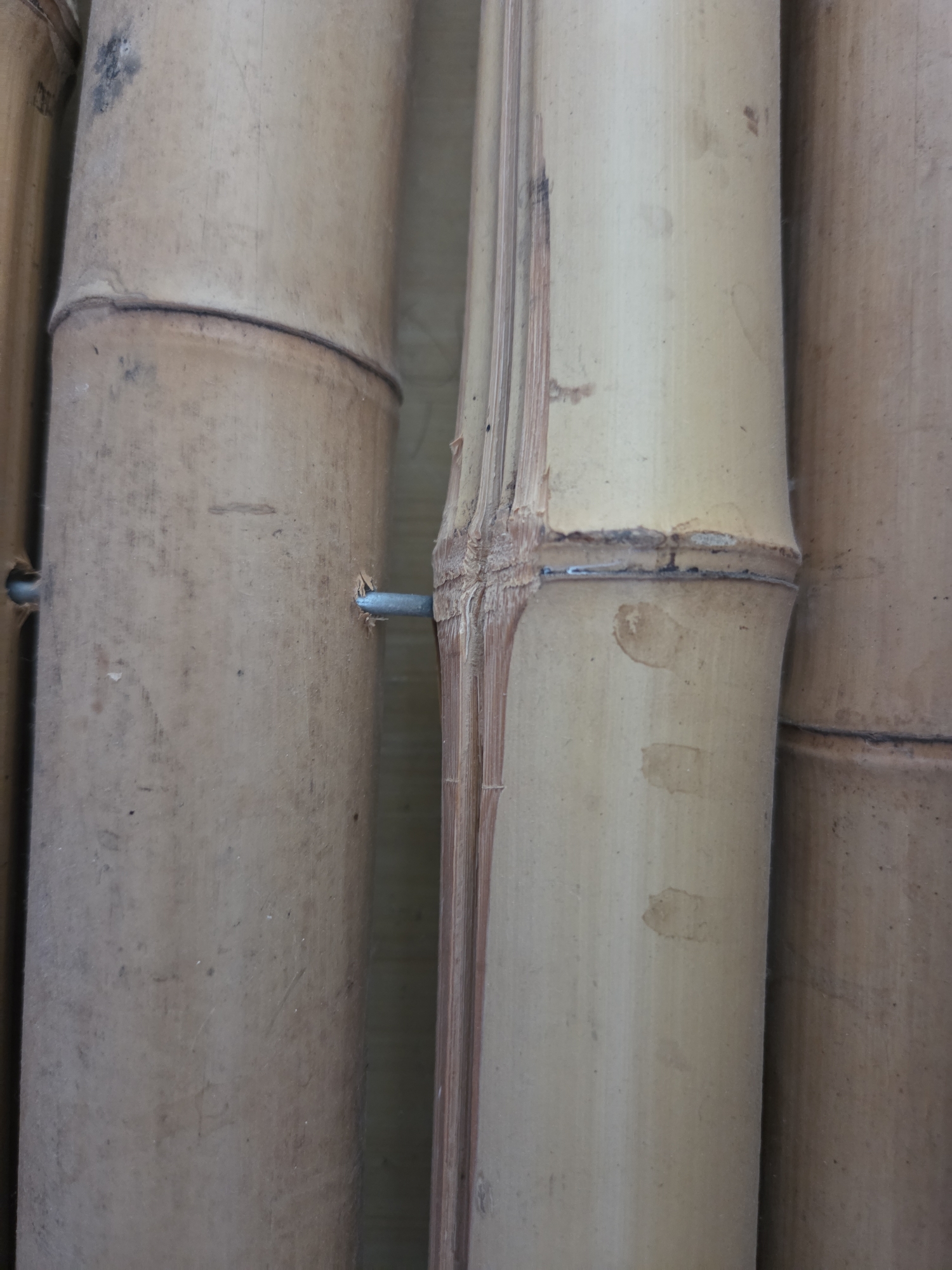 Lot image 4