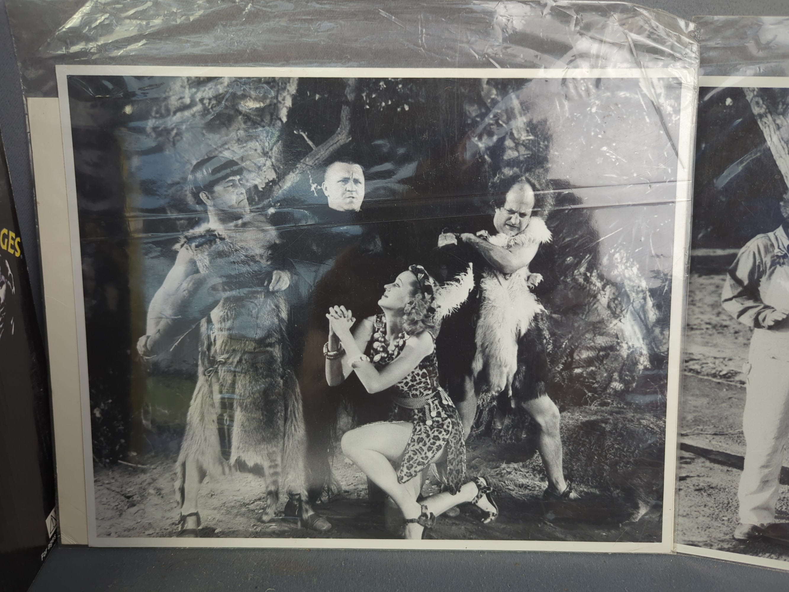 Lot image 6