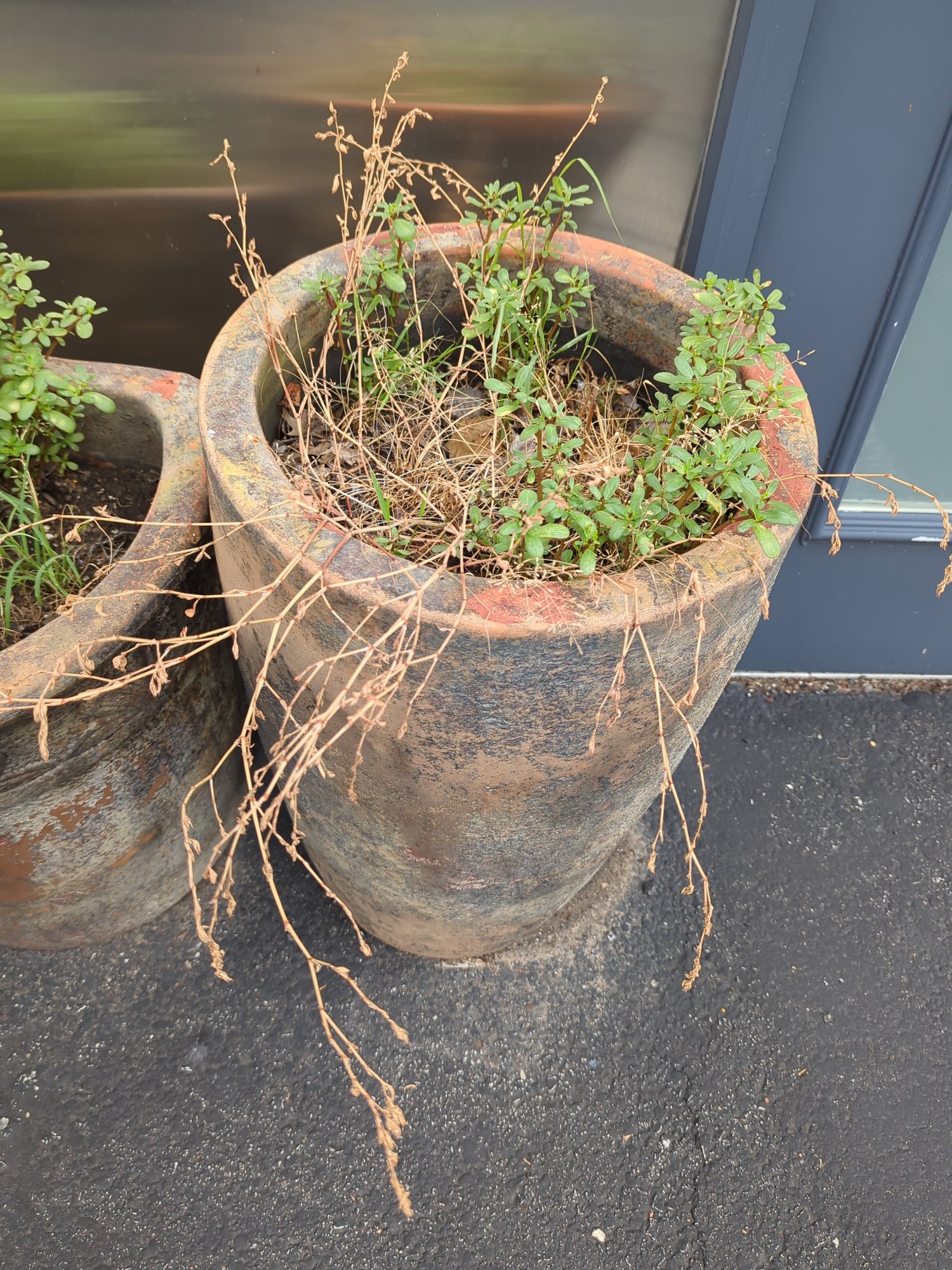 Lot image 4