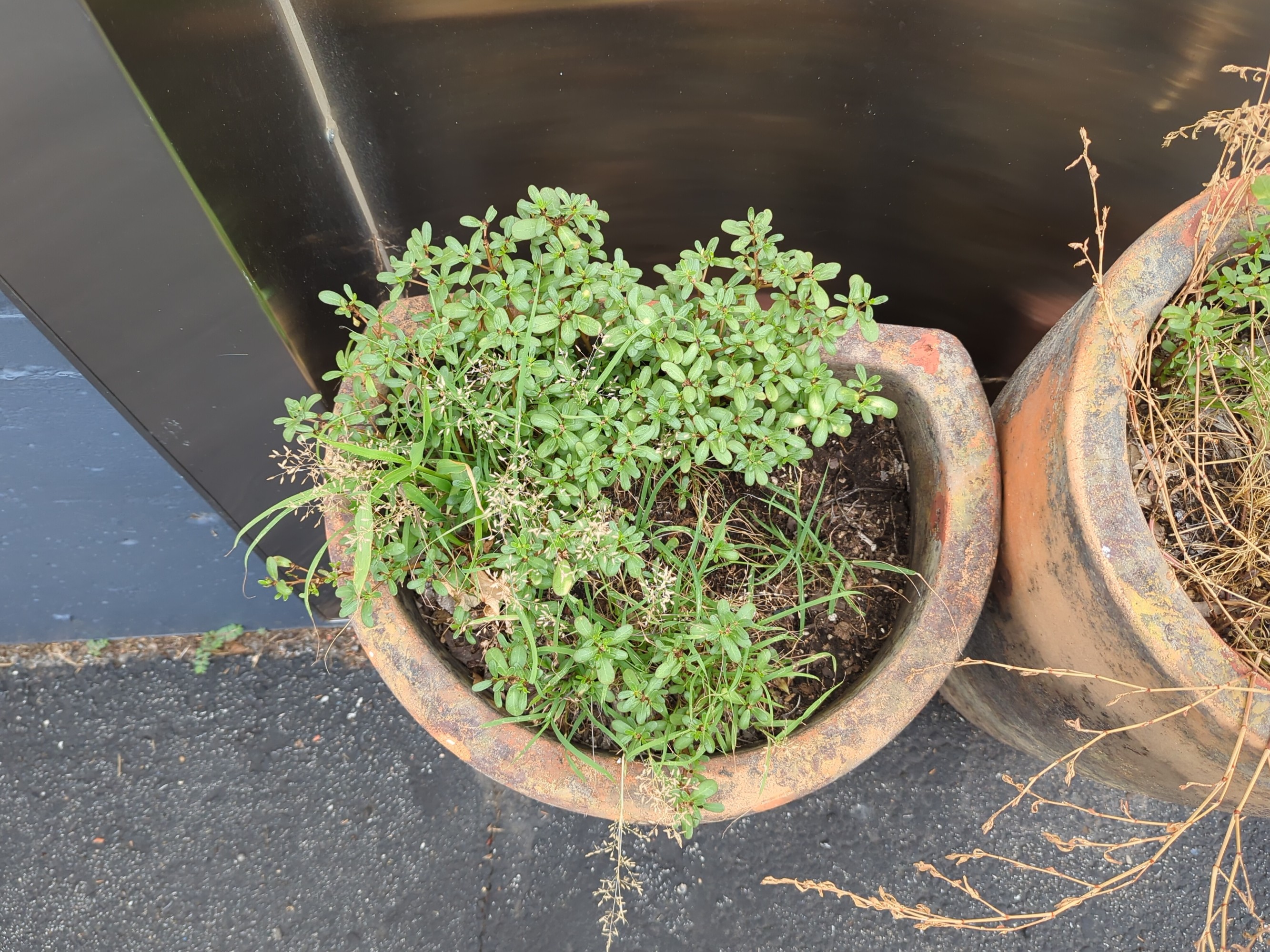 Lot image 3