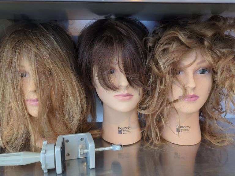 HairArt Hairdressing Mannequin Heads, Qty 5