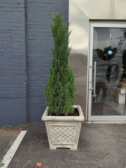Concrete Planters, Qty 2