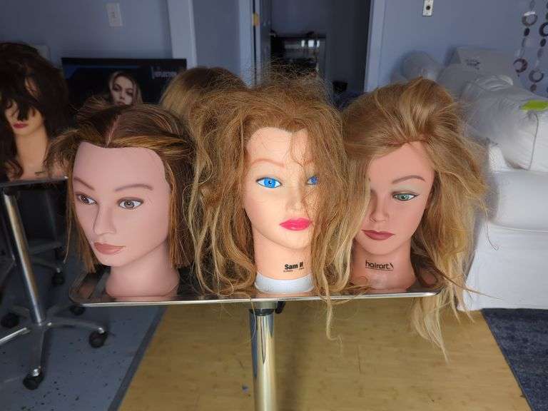 Hair Styling Training Mannequins Heads, Qty 5
