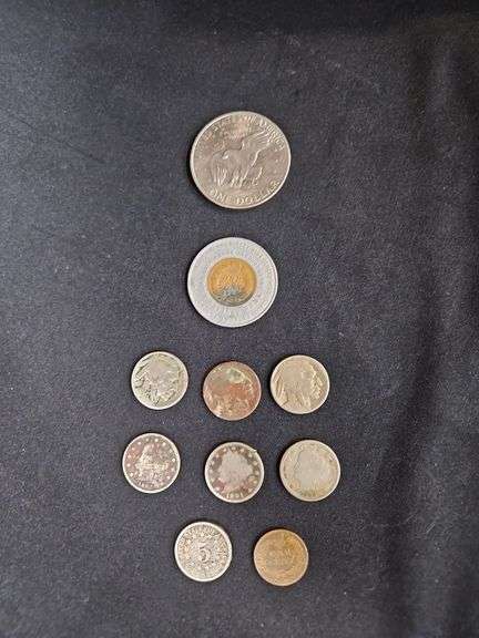 US and Canadian Coin Collection - Dollars, Nickels, Cents