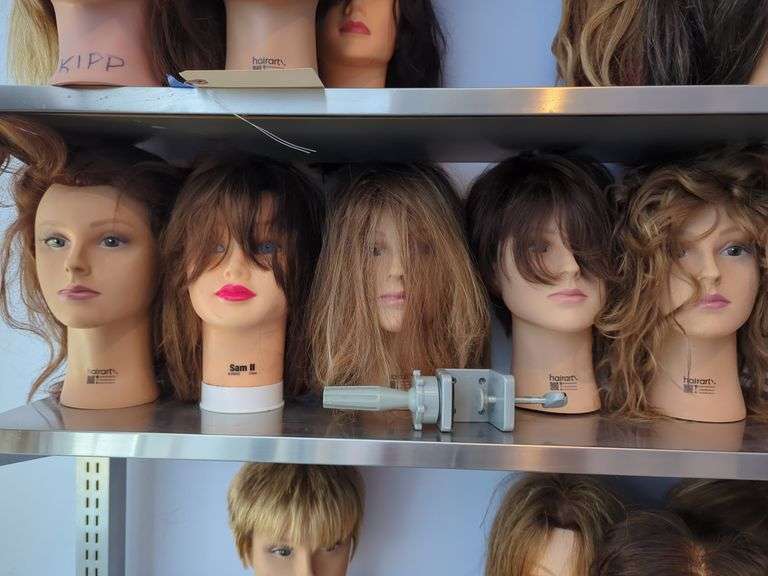 HairArt Hairdressing Mannequin Heads, Qty 5