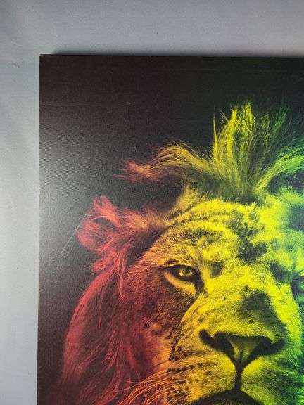 Lion Rasta Color Canvas Art Print, 36" x 24"