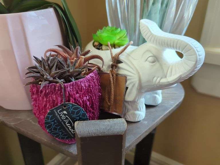 Eclectic Home Decor and Collectibles Assortment
