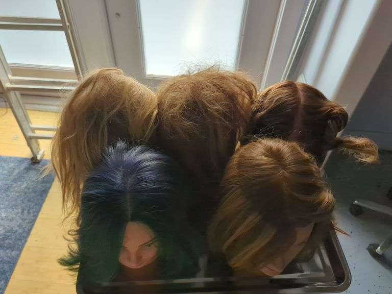 Hair Styling Training Mannequins Heads, Qty 5
