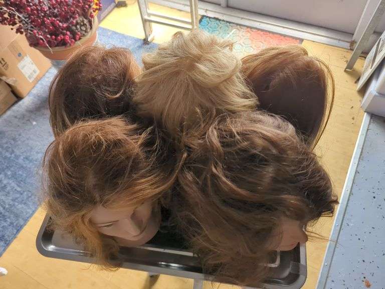 Hair Styling Training Mannequins Heads, Qty 5