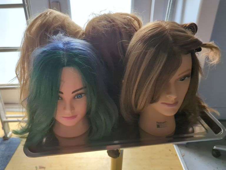 Hair Styling Training Mannequins Heads, Qty 5