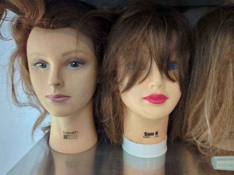 HairArt Hairdressing Mannequin Heads, Qty 5