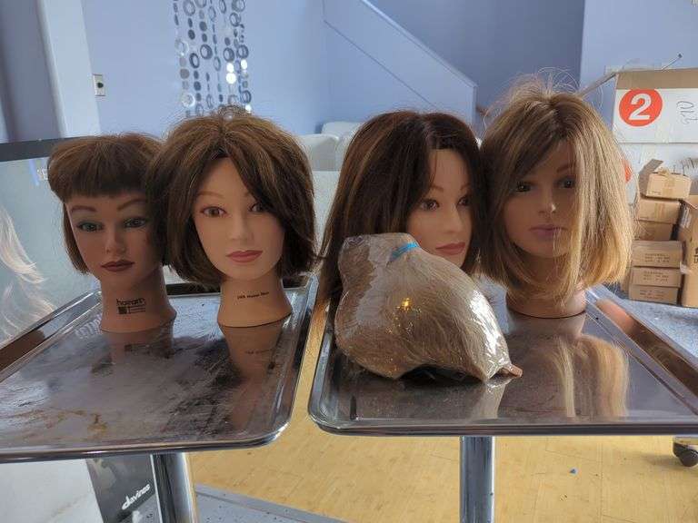 HairArt Training Mannequin Heads, Qty 4