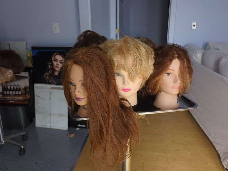 Hair Styling Training Mannequins Heads, Qty 5
